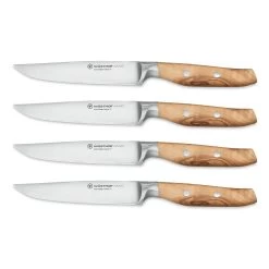 Wusthof Amici 4-Piece Steak Knife Set