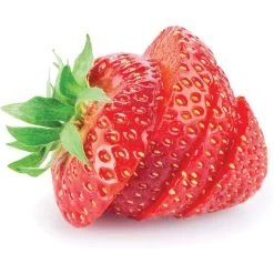 Harold Imports Kitchen Deluxe Mushroom And Egg Slicer -Cookware & Knives Shop 81vqkxhfx5l. ac sl1500