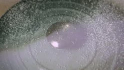 Le Creuset 7.25 Qt. Round Signature Dutch Oven With Stainless Steel Knob | Sea Salt -Cookware & Knives Shop maxresdefault 132 31