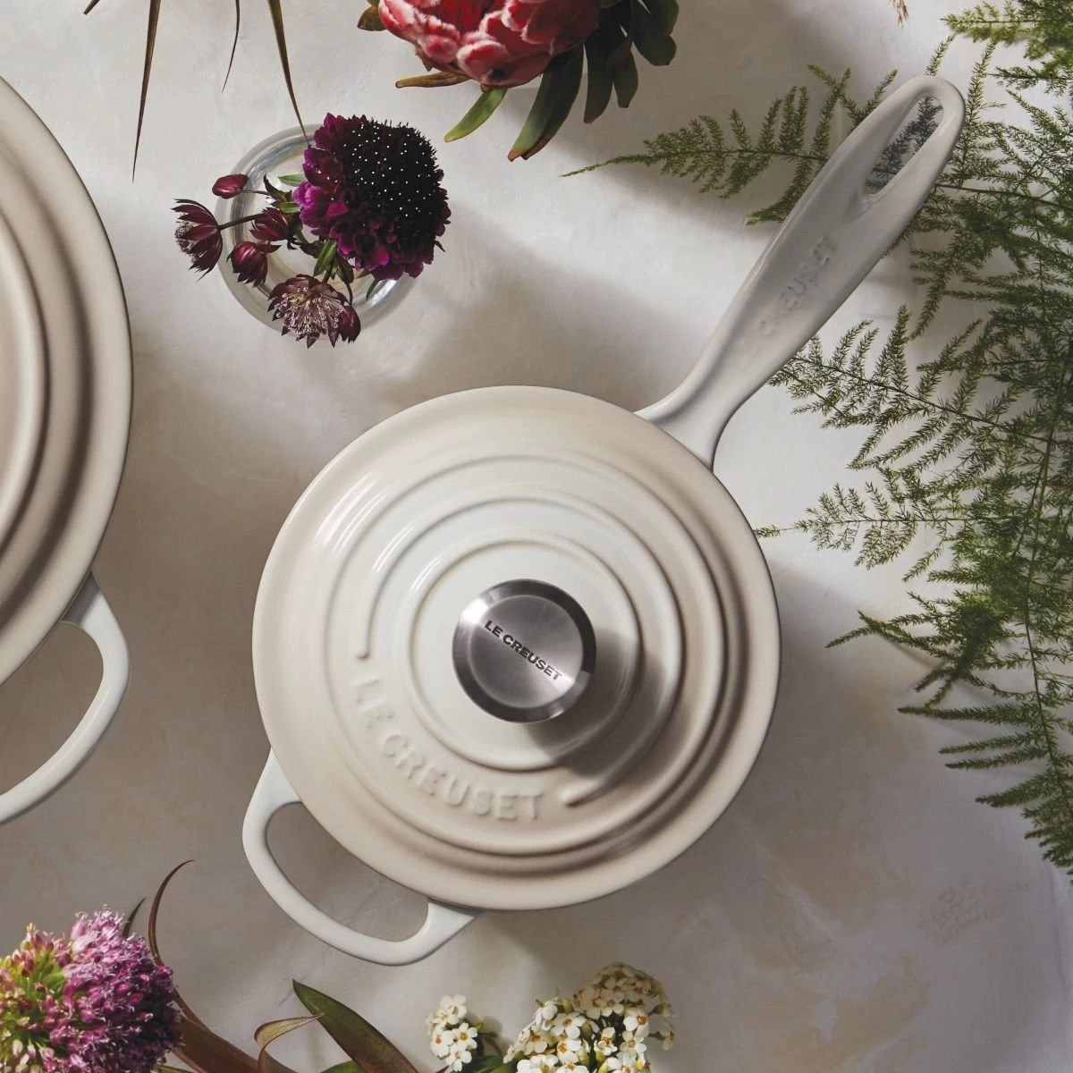 Le Creuset 1.75 Qt. Signature Enameled Cast Iron Saucepan With Stainless Steel Knob | Meringue White 5 Le Creuset 1.75 Qt. Signature Enameled Cast Iron Saucepan With Stainless Steel Knob | Meringue White - Image 3