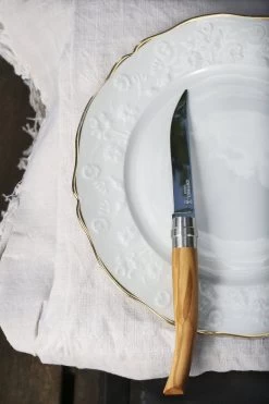 Opinel Olive Wood Handle Set Of 4 Steak Knives -Cookware & Knives Shop wood handle set of 4 steak knives olive